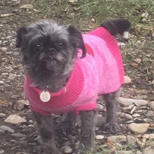 Meet your Posher, Lori